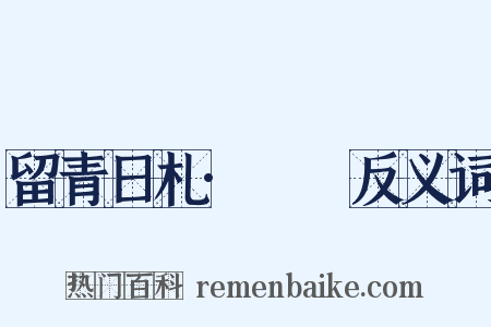 留青日札·叆叇反义词是什么意思的图片